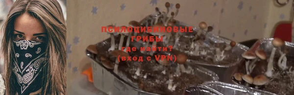 метамфетамин Белокуриха