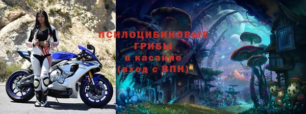 дурь Белоозёрский