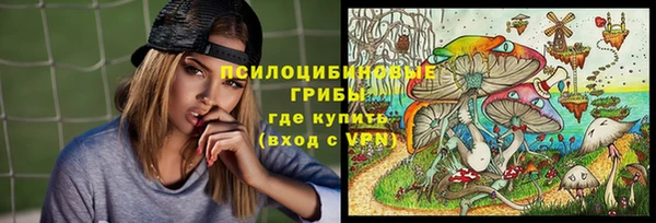 дурь Белоозёрский